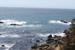 IMG_7150.jpg