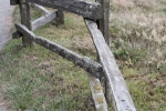 img_2369-copy