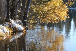 Serene Lakes ~ November 2010