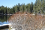 copy-img_9702