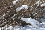 copy-img_9704