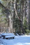 copy-img_9720