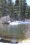 copy-img_9727