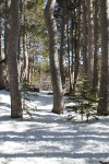 copy-img_9728