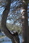 copy-img_9729