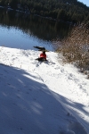 copy-img_9741