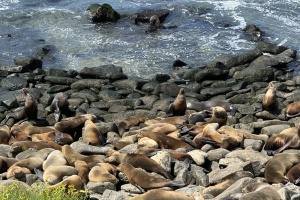 SoCal ~ March 2024