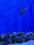 IMG_2349