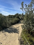 IMG_0514