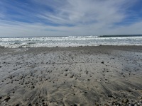 IMG_0535