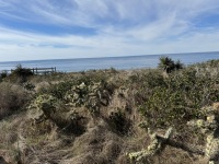 IMG_0539