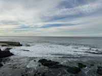 IMG_0568