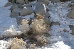 IMG_3450 copy