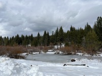 IMG_0221