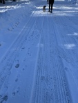 IMG_0291