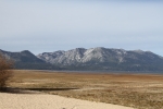 IMG_8186.jpg