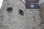 IMG_2531