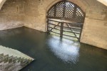 IMG_2539
