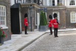 IMG_2549