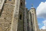 IMG_2553