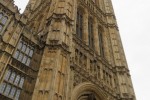 IMG_2651