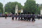 IMG_2696