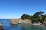 IMG_5201