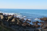 IMG_5215