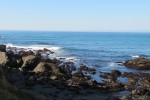 IMG_5216