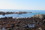 IMG_5220