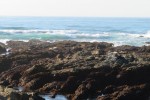 IMG_5241