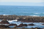 IMG_5243