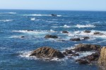 IMG_5261