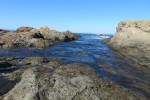 IMG_5270