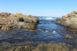 IMG_5274