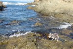 IMG_5275
