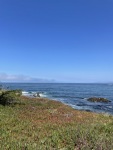 IMG_4234