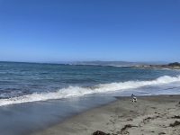 IMG_4279