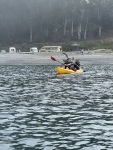 IMG_5334