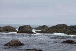 IMG_1428