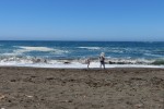 IMG_4988