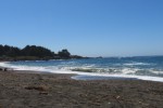 IMG_4994