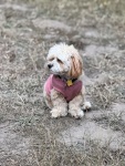 IMG_1855