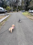 IMG_1864