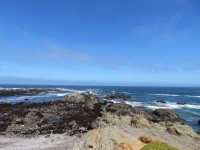 IMG_5312