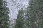 IMG_4265 copy